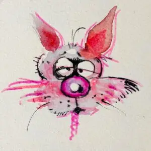 un chat rose